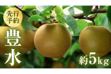 【 2025年8月下旬発送開始 】 茨城県産 梨 豊水 （約 5kg ） 10～16玉  梨 なし 和梨 日本梨 果物 フルーツ 新鮮 旬 期間限定 国産 先行予約