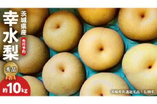 《 先行予約 》【 秀品 】 茨城県産 梨 幸水 10kg （ 茨城県共通返礼品：石岡市 ） フルーツ 果物 なし ナシ 旬 新鮮 旬 期間限定 甘い 国産 【 2025年8月上旬発送予定】