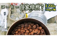 コーヒー 自家焙煎 セット コーヒー豆 200ｇ 2種 × 100ｇ コーヒー ブレンド 生豆 焙煎 初心者 お手軽