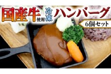 国産牛使用 こだわり 冷凍 ハンバーグ 6個 セット 牛肉 洋食 究極 本格 ビーフシチュー デミグラス レンジ可 惣菜 簡単 時短 レンチン レンジ