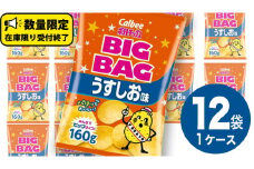  カルビー ポテトチップス BIGBAG 160g うすしお味 1ケース ( 12袋 ) ポテチ お菓子 おかし 大量 スナック おつまみ ジャガイモ じゃがいも まとめ買い 数量限定