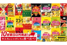 ＼ 10営業日以内に発送 ／ カルビー 湖池屋 人気 24種 詰め合わせ お楽しみ スナック菓子 セット カルビー 湖池屋 ポテトチップス ポテチ お菓子 おかし 大量 スナック おつまみ ジャガイモ じゃがいも まとめ買い Calbee ポテト おまかせ 数量限定