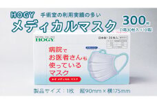 ホギメディカルマスク 箱タイプ 10箱 ( 1箱 / 30枚入 ) HOGY 高品質 認証マスク 不織布 清潔 安心 安全 予防 楽