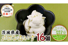 茨城県産メロンあいす 16個 アイス デザート めろん 贈り物 カップ 冷凍