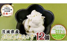 茨城県産メロンあいす 12個 アイス デザート めろん 贈り物 カップ 冷凍