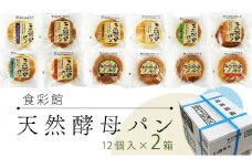 食彩館 天然 酵母パン 2箱 ( 24個 ) 食べ比べ セット 長期保存 災害用 保存料 イーストフード 不使用 子ども おやつ デニッシュ チョコ チーズ 朝食 パン ぱん