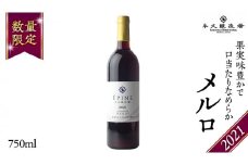 【 数量限定 】エピヌ メルロ 2021 茨城県産 牛久醸造場 日本ワイン 赤ワイン 750ml × 1本 やや辛口 ミディアムボディ お酒 贈り物 ラズベリー