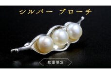 【 数量限定 】 シルバー ブローチ アクセサリー ジュエリー  レディース パール 個性的 記念 ギフト 贈り物