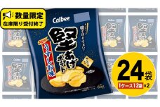 カルビー 堅あげポテト うすしお味 24袋 ( 2ケース ) 65g ポテチ お菓子 おかし 大量 スナック おつまみ ジャガイモ じゃがいも まとめ買い 数量限定