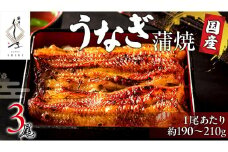 【 麻布しき 】 国産 鰻 蒲焼 × 3尾 うなぎ ウナギ 冷凍 おいしい 蒲焼き かばやき たれ焼き 土用 丑の日 無頭 タレ 山椒 付 縁起 敬老の日 名店 老舗