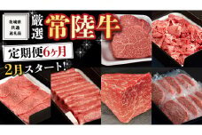 《 定期便 2月スタート 》 厳選 『 常陸牛 』 6ヶ月セット ( 茨城県共通返礼品 ) A5 A4 肉 焼肉 国産 霜降 赤身 ヒレ 切り落とし もも ハンバーグ ステーキ すき焼き しゃぶしゃぶ