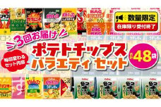  【 スナック菓子 3ヶ月 定期便 】 カルビー 湖池屋 人気 48袋 詰め合わせ バラエティ セット スナック ポテトチップス ポテチ ポテトチップ 菓子 お菓子 おかし おやつ おつまみ 大量 BIGBAG 堅あげポテト のりしお うすしお ブラックペッパー 頒布会 ジャガイモ じゃがいも まとめ買い
