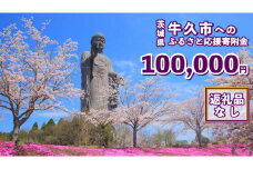 【 返礼品なし 】 茨城県 牛久市 ふるさと応援寄附金 ( 100,000円 )