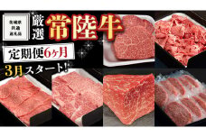 《 定期便 3月スタート 》 厳選 『 常陸牛 』 6ヶ月セット ( 茨城県共通返礼品 ) A5 A4 肉 焼肉 国産 霜降 赤身 ヒレ 切り落とし もも ハンバーグ ステーキ