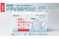 【 3ヶ月 定期便 隔月お届け 】 ホギメディカル マスク ( 30枚入 × 10箱 )  箱タイプ HOGY 高品質 認証マスク 不織布 清潔 安心 安全 予防 楽