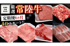 《 定期便 4月スタート 》 厳選 『 常陸牛 』 6ヶ月セット ( 茨城県共通返礼品 ) A5 A4 肉 焼肉 国産 霜降 赤身 ヒレ 切り落とし もも ハンバーグ ステーキ