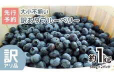 《 先行予約 》ブルーベリー 大小不揃い 約 1kg【2025年6月下旬頃より発送開始】訳アリ B品 お得 甘い 甘酸っぱい 産地直送 おやつ デザート ジャム スムージー