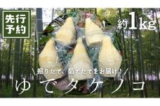 《 先行予約 》新鮮な ゆでタケノコ 約1kg 竹の子 1キロ 筍 たけのこ 水煮 真空パック 国産 たけのこご飯 【2025年4月上旬以降発送】