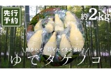 《 先行予約 》 新鮮な ゆでタケノコ 約2kg 竹の子 2キロ 筍 たけのこ 水煮 真空パック 国産 たけのこご飯 【2025年4月上旬以降発送】
