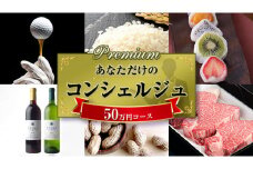 あなただけの プレミアム コンシェルジュ コース ( 50万円 ) 特別 オーダーメイド サービス