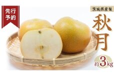 《 先行予約 》秋月 6～9玉 ( 約3kg ) 【2025年発送】 フルーツ 果物 なし ナシ 旬 新鮮 旬 期間限定 甘い 国産