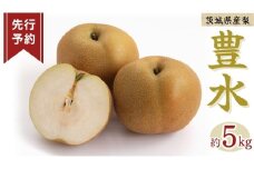 《 先行予約 》豊水 10～20玉 ( 約5kg ) 【 2025年発送 】  フルーツ 果物 なし ナシ 旬 新鮮 旬 期間限定 甘い 国産