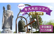 《 案内付き 》 牛久大仏 胎内 拝観 ツアー ※ 平日限定 ※ （ 5名様まで ） 貸切 体験 参加券 体験チケット 観光