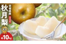 《 先行予約 》 【 秀品 】 茨城県産 梨 秋月 10kg （茨城県共通返礼品：石岡市） フルーツ 果物 なし ナシ 旬 新鮮 旬 期間限定 甘い 国産 【 2025年9月中旬頃より発送開始 】