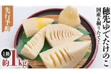 《 先行予約 》 掘りたて 穂先 ゆでたけのこ 約1kg 【 2025年 4月上旬 以降発送 】 野菜 春 旬 期間限定 数量限定 国産 産地直送 箱 真空パック 個包装 茹で 筍 タケノコ 竹の子