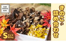 きのこ の 詰め合わせ Sサイズ ( 約1kg ) （茨城県共通返礼品：城里町） キノコ セット 野菜 低カロリー ダイエット デトックス バラエティ セット 新鮮
