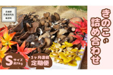  【 3ヶ月連続定期便 】きのこ の 詰め合わせ Sサイズ ( 約1kg ) （茨城県共通返礼品：城里町） キノコ セット 野菜 低カロリー ダイエット デトックス バラエティ セット 新鮮