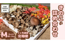 【 3ヶ月連続定期便 】きのこ の詰め合わせ Mサイズ ( 約1.5kg ) （茨城県共通返礼品：城里町） キノコ セット 野菜 低カロリー ダイエット デトックス バラエティ セット 新鮮