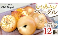 ベーグル 専門店 12個 おすすめ セット パン 詰め合わせ 詰合せ 食べ比べ bagel 冷凍 食感 しっとり もっちり おしゃれ まとめ買い お取り寄せグルメ  《 種類おまかせ 》