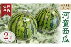 《 先行予約 》 牛久市産 河童 西瓜 L 2玉 ( 約 12kg ) 【 2025年発送 】 果物 フルーツ Lサイズ スイカ すいか 期間限定 旬 国産 アイス シャーベット