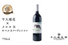 牛久醸造 × カベルネソーヴィニヨン ＆ メルロ × 1本 茨城県産 牛久醸造場 日本ワイン ワイン 赤ワイン 750ml お酒 贈り物 受賞 上品 果実