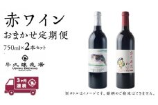 【 3ヶ月連続 】 赤ワイン おまかせ 定期便 2本セット 飲み比べ 茨城県産 牛久醸造場 厳選 750ml × 2本 お酒 ワイン ワイン好き 初心者 上級者 贈り物 ギフト 詰め合わせ