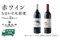 【 3ヶ月隔月 】 赤ワイン おまかせ 定期便 2本セット 飲み比べ 茨城県産 牛久醸造場 厳選 750ml × 2本 お酒 ワイン ワイン好き 初心者 上級者 贈り物 ギフト 詰め合わせ