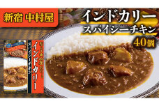 新宿 中村屋 インドカリー スパイシーチキン 40個 人気 洋食 レトルト 時短 カレー インドカレー スパイシーカレー 長期保存 災害用 保存食 レンチン レンジ