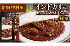 新宿 中村屋 インドカリー ビーフスパイシー 40個 人気 洋食 レトルト 時短 カレー インドカレー スパイシーカレー 長期保存 災害用 保存食 レンチン レンジ