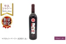 【 数量限定 】 マスカット・ベーリーＡ2024 A+ 750ml ワイン ミディアムボディ お酒 牛久シャトー 酸味 ワイナリー 赤ワイン ぶどう 葡萄 贈り物
