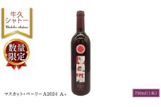 【 数量限定 】 マスカット・ベーリーＡ2024 A+ 750ml ワイン ミディアムボディ お酒 牛久シャトー 酸味 ワイナリー 赤ワイン ぶどう 葡萄 贈り物