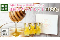 【 数量限定 】山桜 はちみつ と春の 田舎はちみつ の 3種 ギフト セット [ 結蜜 Musubi-R3山桜 120g ]（ 茨城県共通返礼品： 五霞町 ） 生ハチミツ 蜂蜜 非加熱 茨城県産 国産 天然 純粋 贈答用