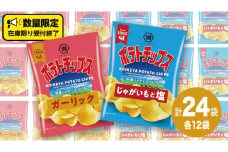 湖池屋 ポテトチップス 2種類アソート （じゃがいもと塩・ガーリック）（各12袋・計24袋） ポテチ お菓子 おかし 大量 スナック おつまみ ジャガイモ じゃがいも まとめ買い スナック菓子 数量限定