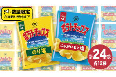 湖池屋 ポテトチップス 2種類アソート （のり塩・じゃがいもと塩）（各12袋・計24袋） ポテチ お菓子 おかし 大量 スナック おつまみ ジャガイモ じゃがいも まとめ買い スナック菓子 数量限定