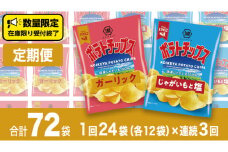【 湖池屋 3ヶ月 定期便 】湖池屋 ポテトチップス 2種類アソート （じゃがいもと塩・ガーリック）（各12袋・計24袋 ×３回） ポテチ お菓子 おかし 大量 スナック おつまみ ジャガイモ じゃがいも まとめ買い スナック菓子 頒布会 数量限定
