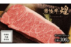【 常陸牛 】煌 サーロイン ステーキ 300g ( 1枚 ) ( 化粧箱入り ) ( 茨城県共通返礼品 ) 国産 きらめき 霜降 小ザシ お肉 肉 A5ランク ブランド牛 牛肉 ひたち牛 ブランド和牛 ステーキ用