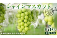 【 先行予約 】茨城県産 シャインマスカット 約 5kg 6房入り ( 茨城県共通返礼品 : 常陸太田市 )【 2025年 9月中旬頃より発送 】 シャインマスカット フルーツ ぶどう 葡萄 ブドウ マスカット 果物 期間限定 数量限定