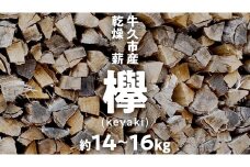 牛久市産 乾燥 薪 欅 ( けやき ) 約14kg～16kg 天然木 マキ 乾燥薪 広葉樹 キャンプ アウトドア 焚火 焚き火 薪ストーブ 暖炉 たき火 野外 屋外 バーベキュー薪 ピザ窯の薪 グリル焼