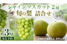 【 先行予約 】茨城県産 シャインマスカット2房と旬の梨詰め合わせ 約 3kg ( 茨城県共通返礼品 : 常陸太田市 )【 2025年 9月中旬頃より発送 】 梨 ナシ なし 和梨 シャインマスカット フルーツ ぶどう 葡萄 ブドウ マスカット 果物  期間限定 数量限定