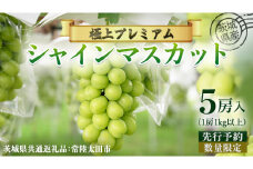 【 先行予約 】茨城県産 極上プレミアム シャインマスカット 1房1kg以上 数量限定 5房入り ( 茨城県共通返礼品 : 常陸太田市 )【 2025年 9月中旬頃より発送 】シャインマスカット フルーツ ぶどう 葡萄 ブドウ マスカット 果物  期間限定 数量限定